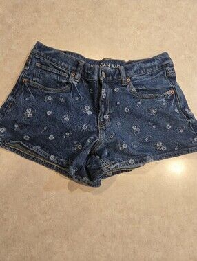 American Eagle Women's Shorts - Size 6